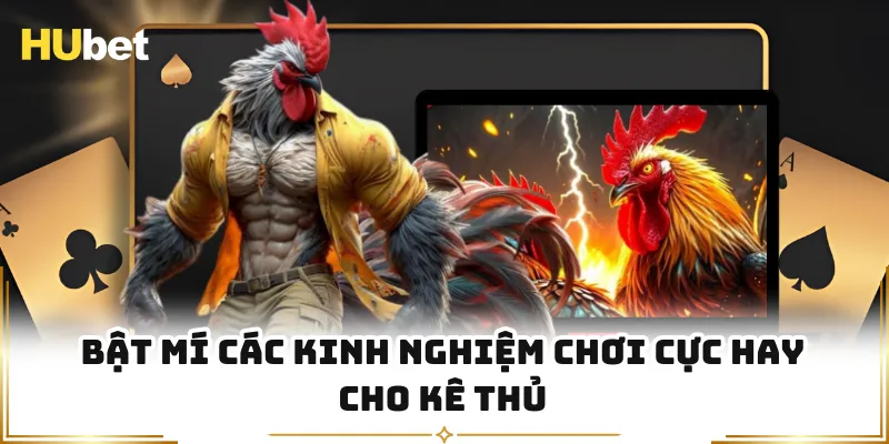 Bật mí các kinh nghiệm chơi cực hay cho kê thủ