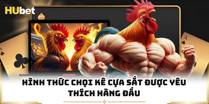 Hình thức chọi kê cựa sắt được yêu thích hàng đầu