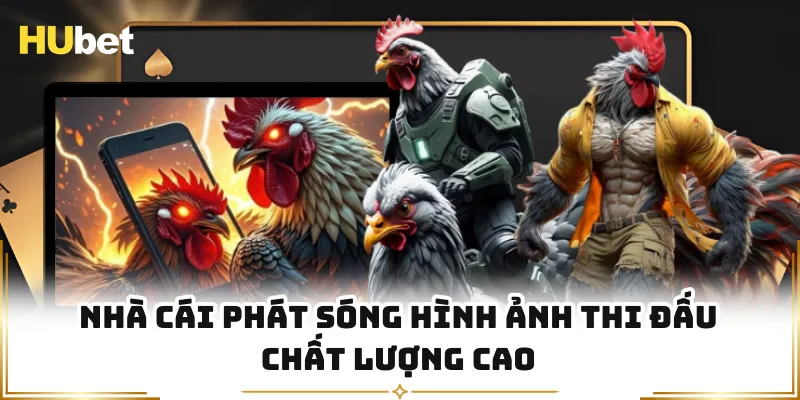 Nhà cái phát sóng hình ảnh thi đấu chất lượng cao