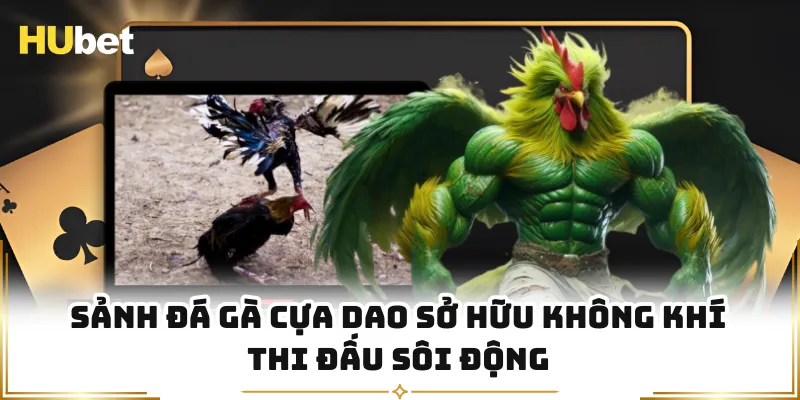 Sảnh đá gà cựa dao sở hữu không khí thi đấu sôi động